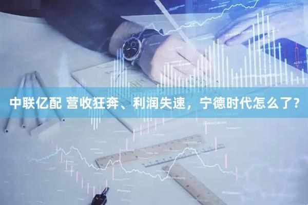 中联亿配 营收狂奔、利润失速，宁德时代怎么了？