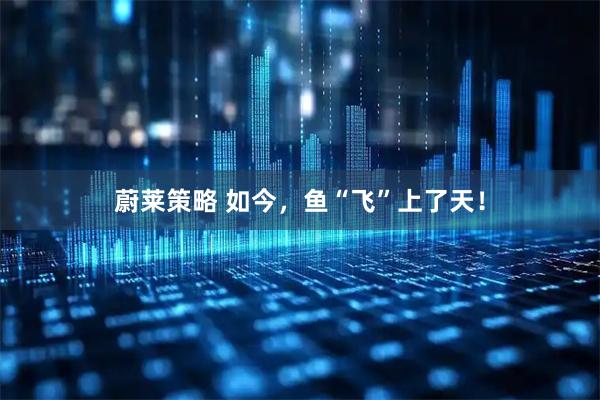 蔚莱策略 如今，鱼“飞”上了天！